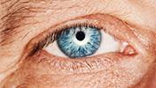 Göz Hastalıkları